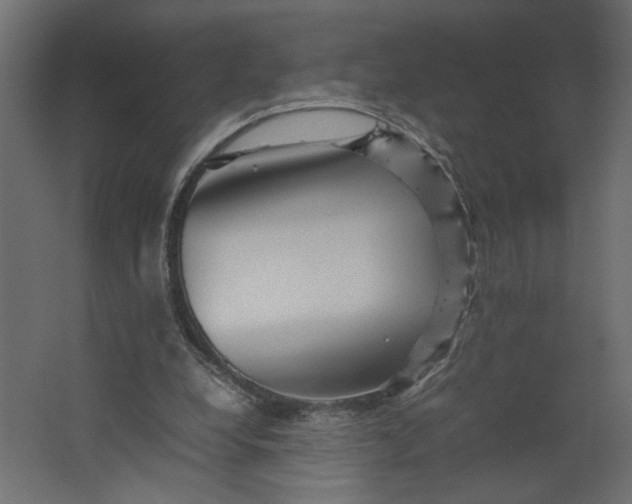 X0000067460248200604211548