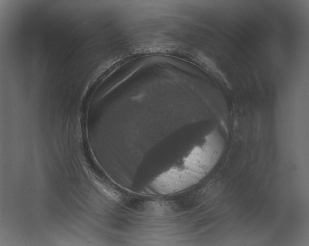 X0000067460250200604211548