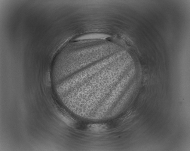 X0000067460251200604211548