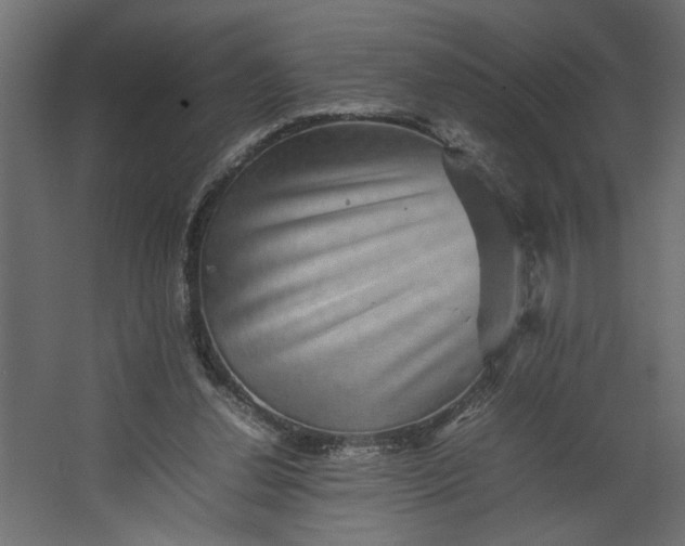 X0000067460252200604211548