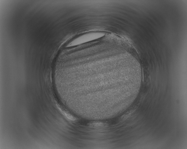 X0000067460253200604211548