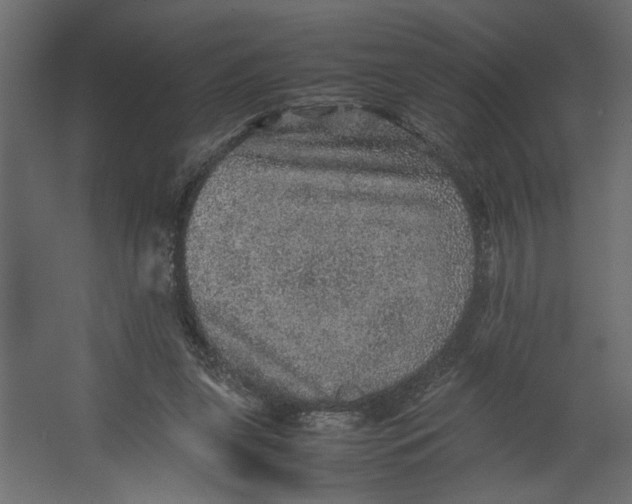 X0000067460255200604211548