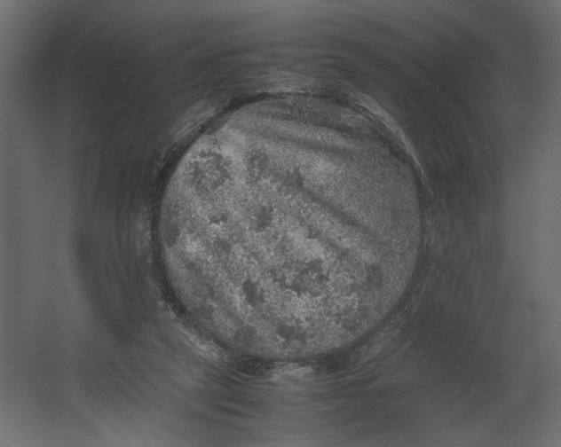 X0000067460257200604211548