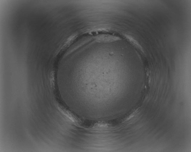 X0000067460260200604211548