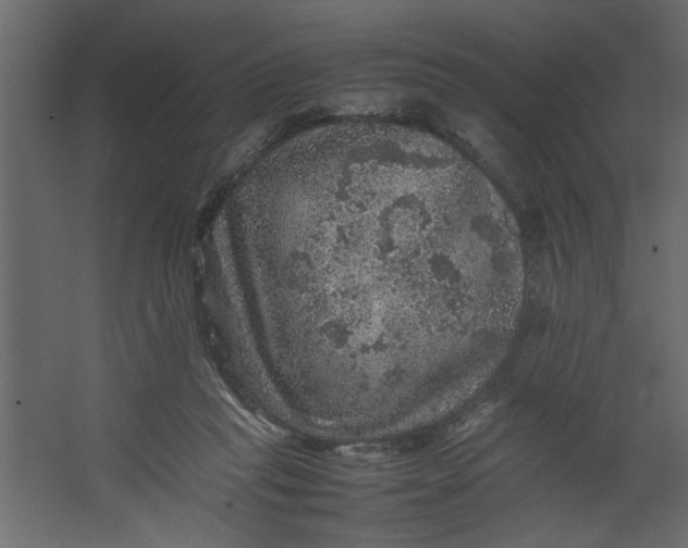 X0000067460261200604211548