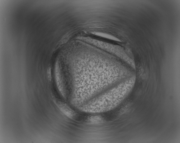 X0000067460262200604211548