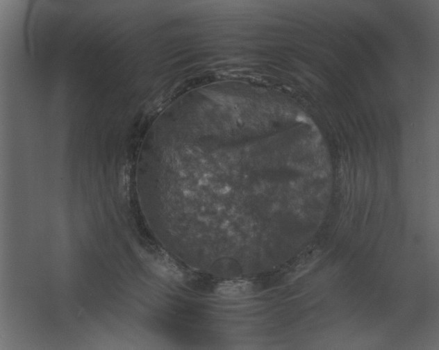 X0000067460271200604211549