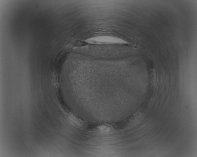 X0000067460272200604211549