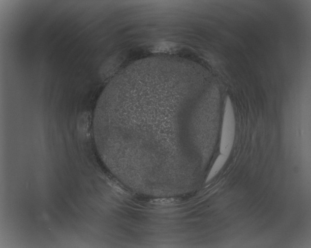 X0000067460273200604211549