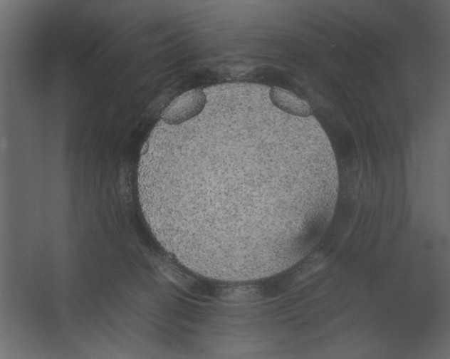 X0000067460274200604211549