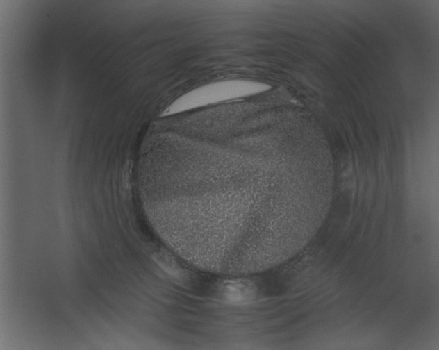 X0000067460275200604211549