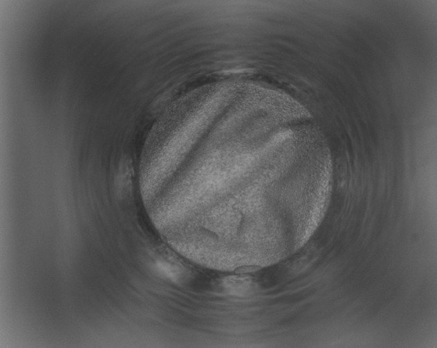 X0000067460279200604211549