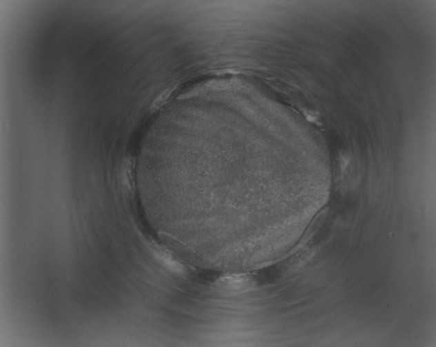 X0000067460280200604211549