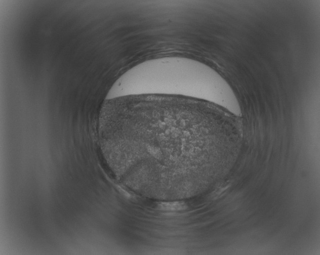 X0000067460281200604211549