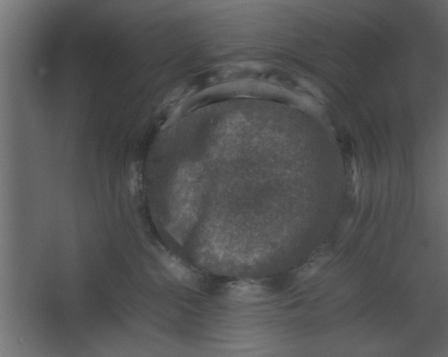 X0000067460284200604211549