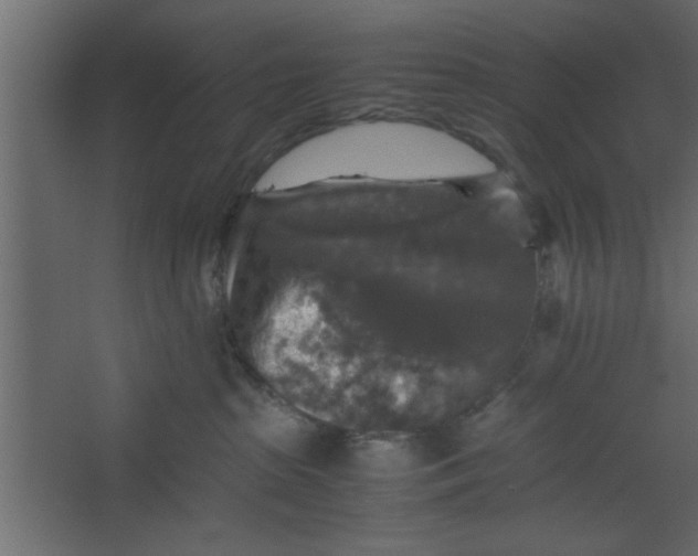 X0000067460285200604211549