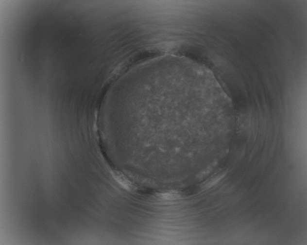 X0000067460286200604211549