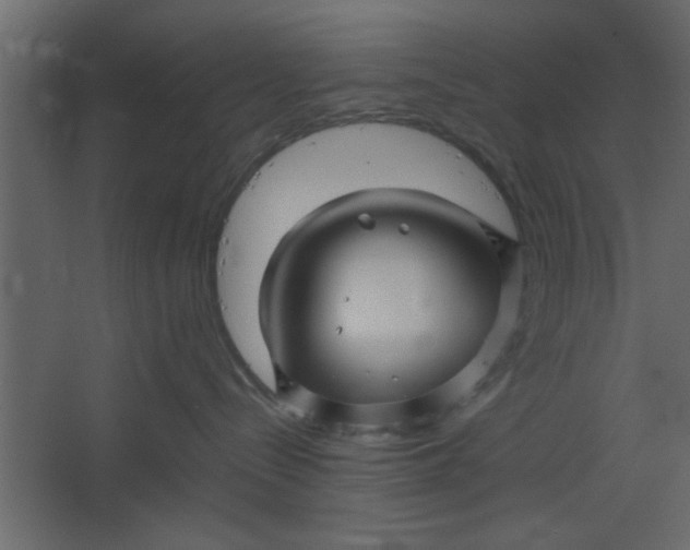 X0000067460288200604211549