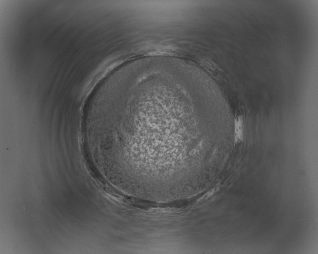 X0000067460291200604211548