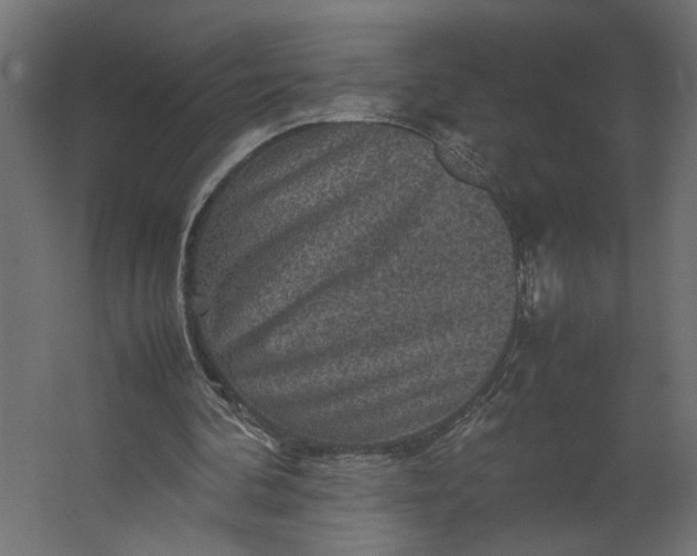 X0000067460292200604211548