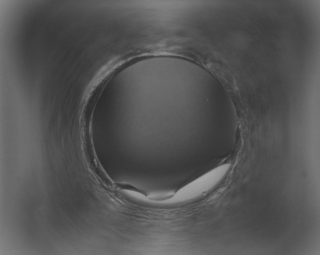 X0000067460295200604211548