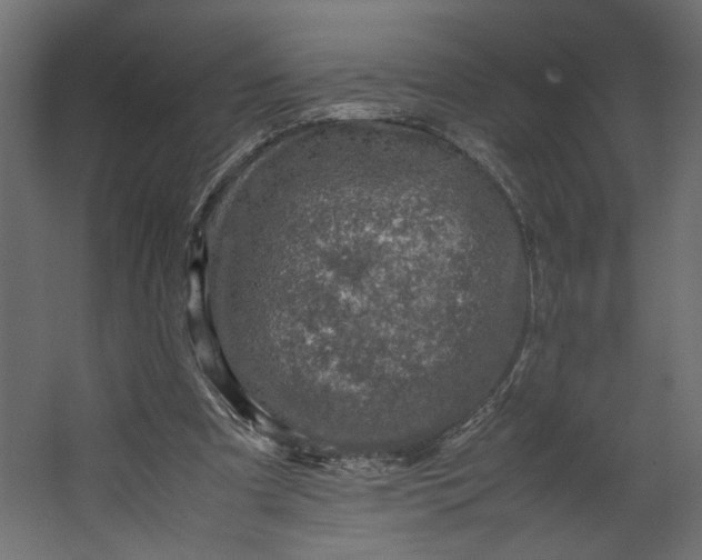 X0000067460297200604211548