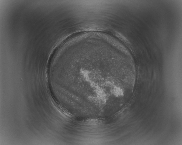 X0000067460298200604211548