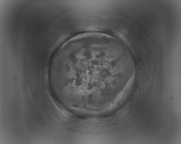 X0000067460299200604211548