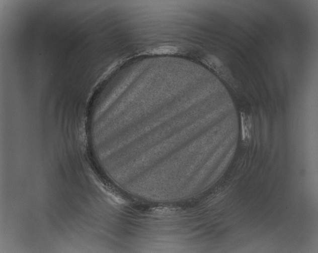 X0000067460300200604211548