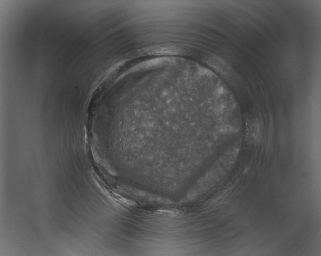 X0000067460302200604211548