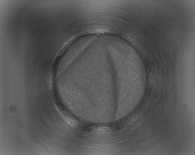 X0000067460304200604211548