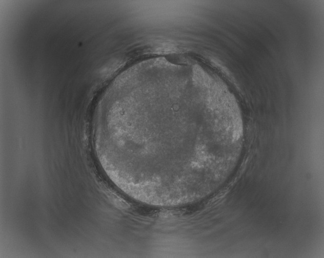 X0000067460305200604211548