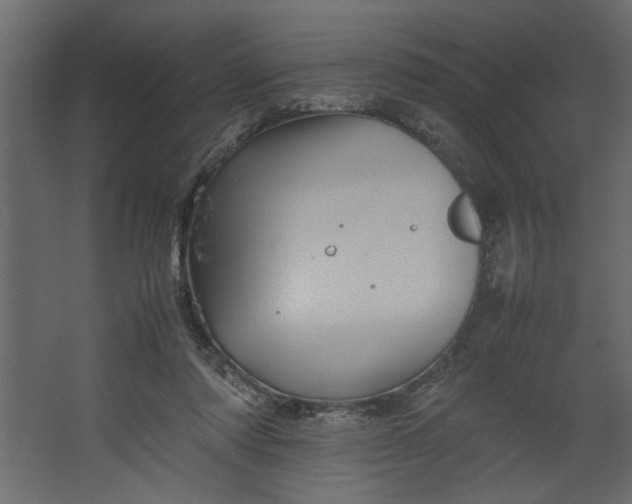 X0000067460310200604211548