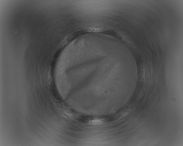 X0000067460312200604211548