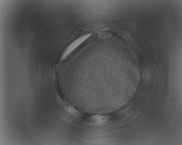 X0000067460326200604211547