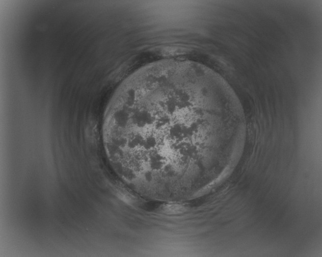 X0000067460327200604211547