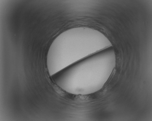 X0000067460329200604211547