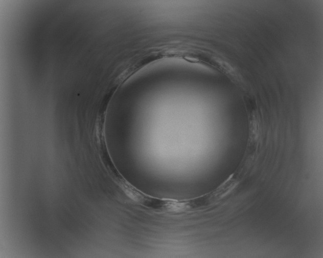 X0000067460333200604211547