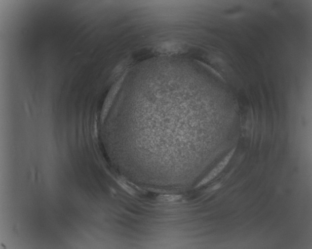 X0000067460334200604211547