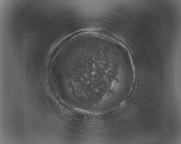 X0000067460337200604211546