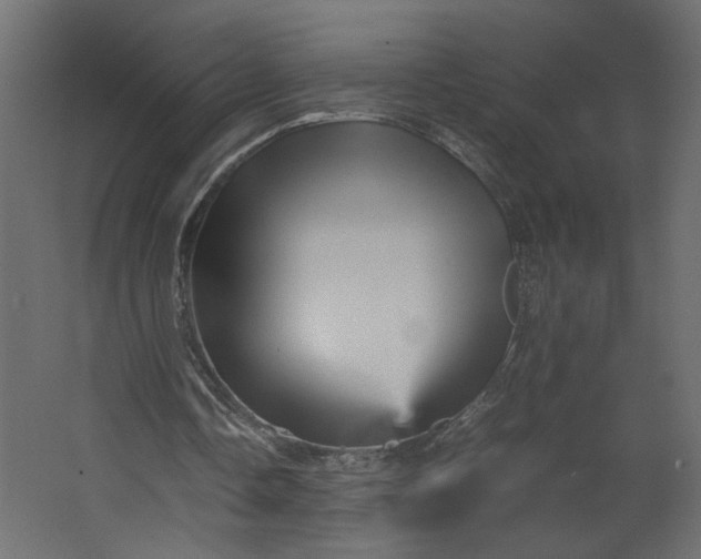 X0000067460338200604211546