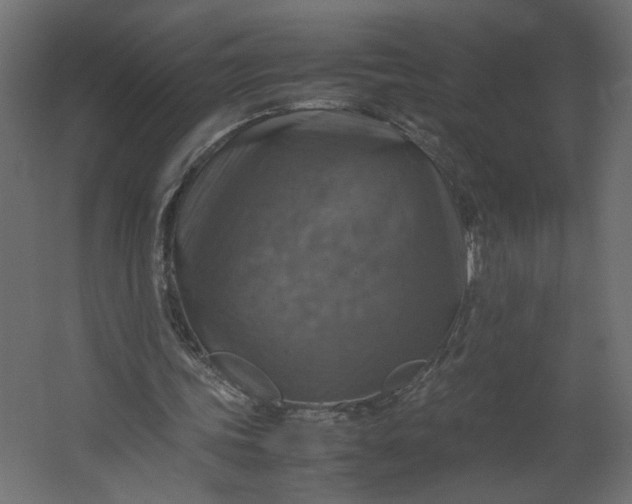 X0000067460339200604211546