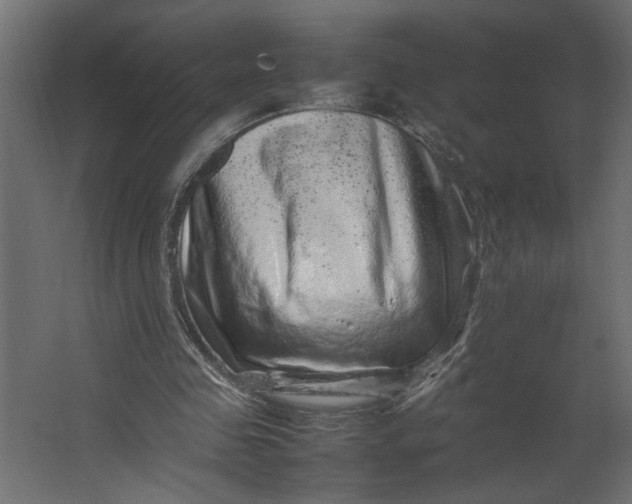 X0000067460341200604211547