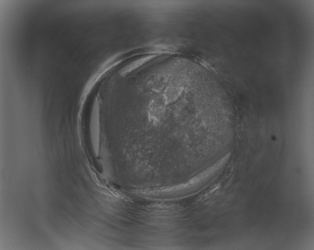 X0000067460343200604211547