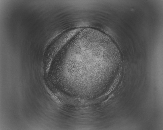 X0000067460345200604211547