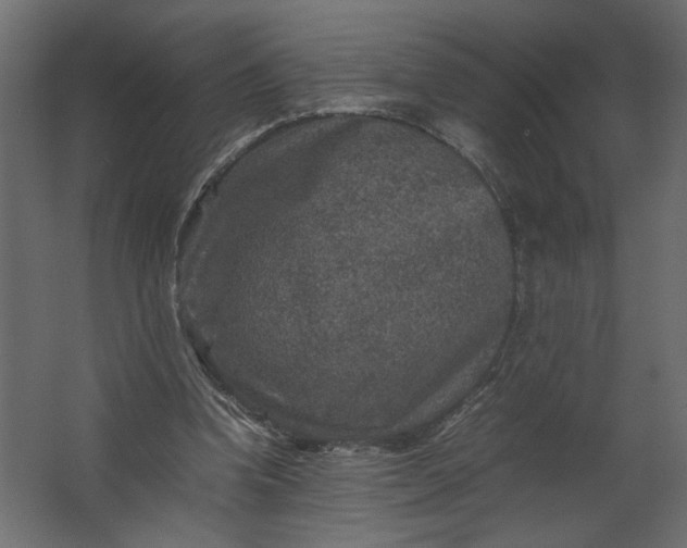 X0000067460346200604211547