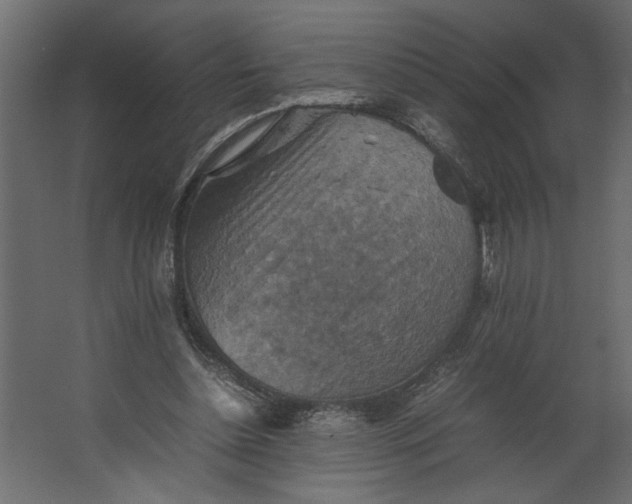 X0000067460348200604211547