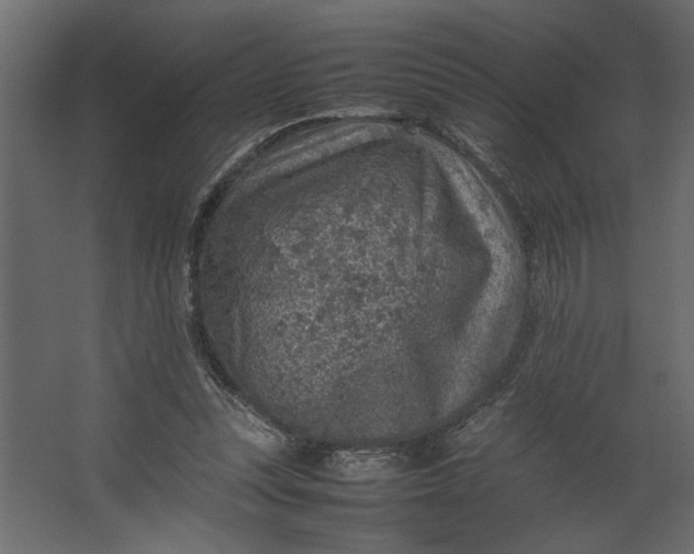 X0000067460351200604211547