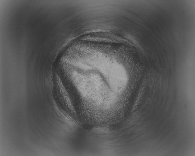 X0000067460354200604211547