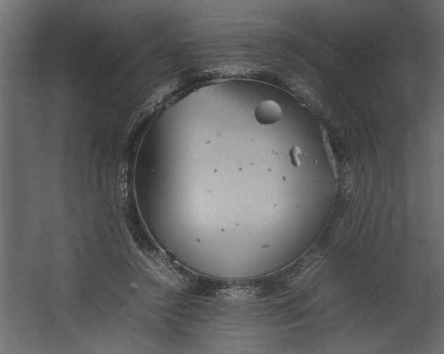 X0000067460356200604211547